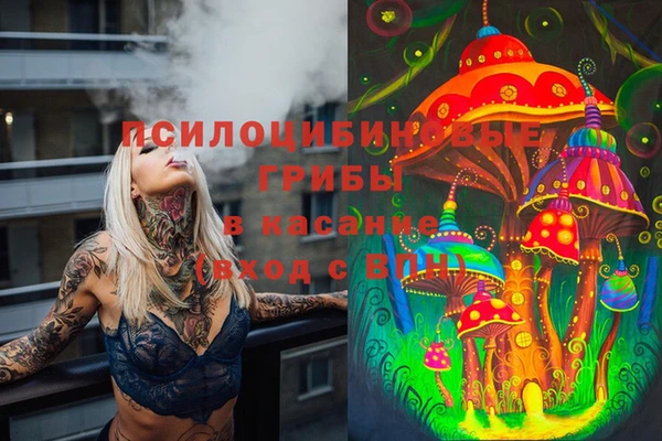 кокаин перу Снежногорск